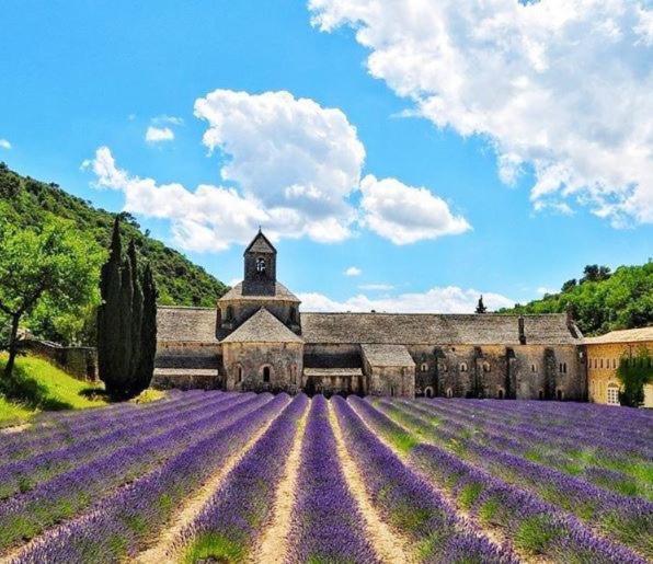 Mas Oréa côté piscine Gordes Esterno foto