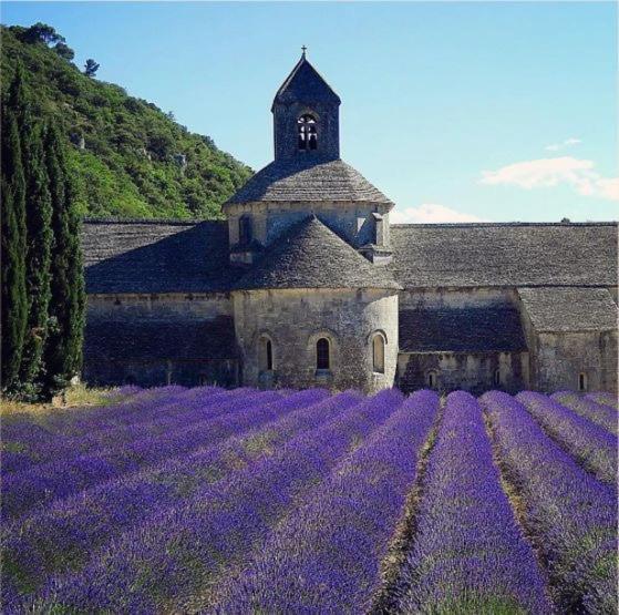 Mas Oréa côté piscine Gordes Esterno foto